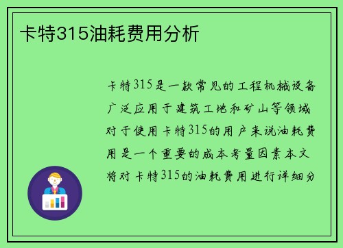 卡特315油耗费用分析