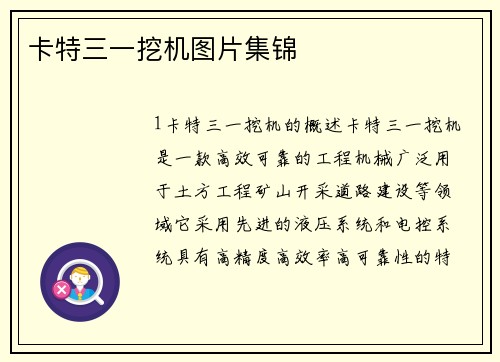 卡特三一挖机图片集锦